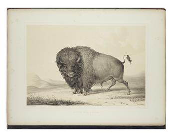 CATLIN, GEORGE. North American Indian Portfolio.